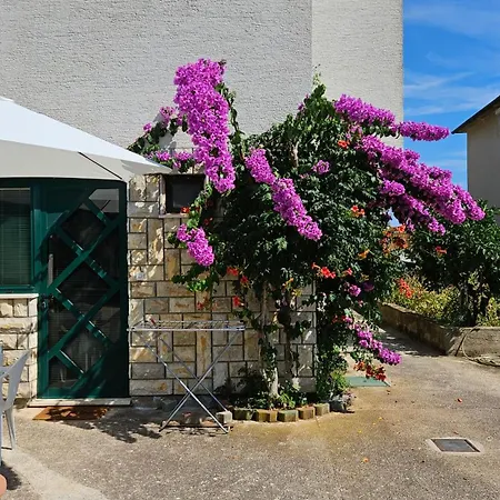 Solaris Apartament